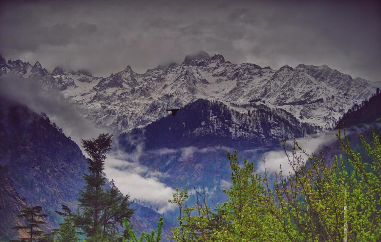 Memoir Homestay Kasol Esterno foto
