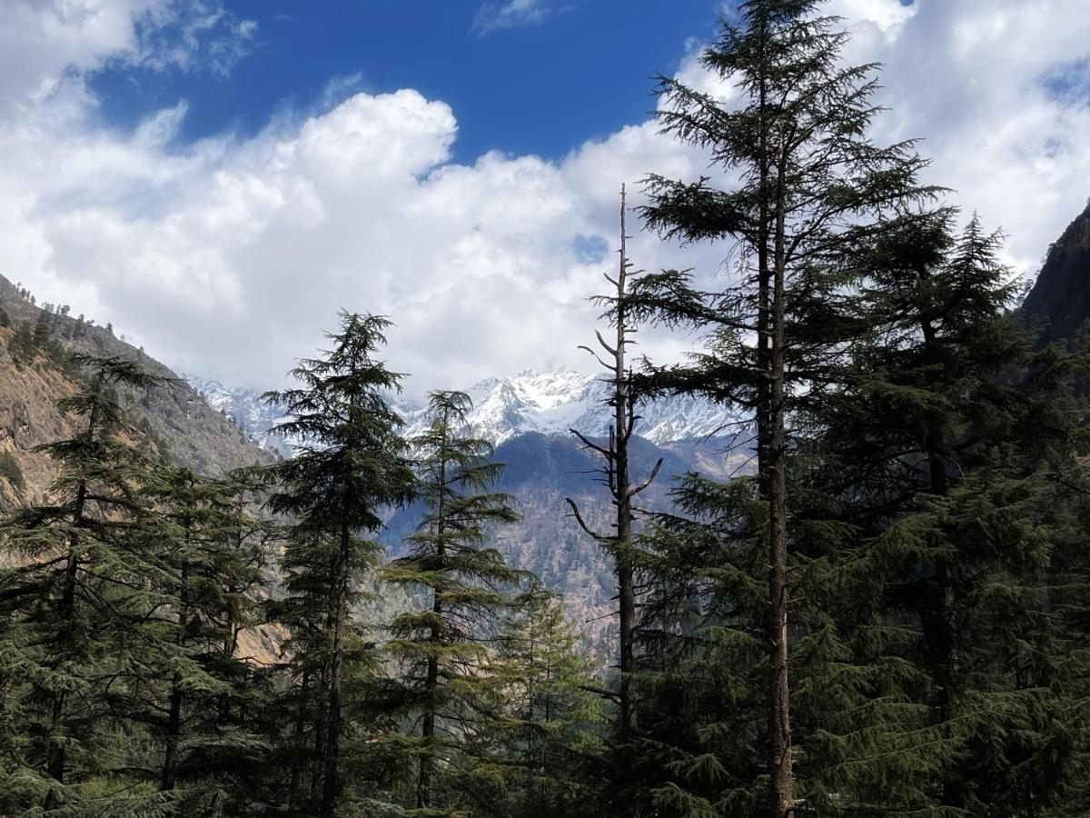 Memoir Homestay Kasol Esterno foto